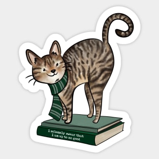 HP Green House Cat, Books and Quote Sticker